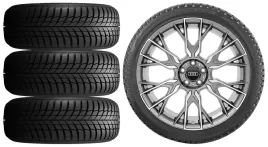 nowe-kola-zima-audi-a6-allroad-c8-bridgestone-245-45r20-ao