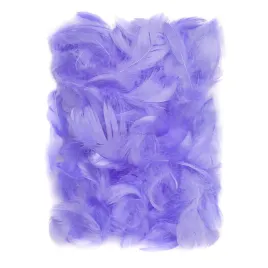 piorka-dekoracyjne-ozdobne-do-prac-plastycznych-5-12cm-10g-lilac