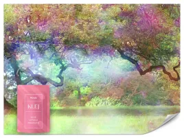fototapeta-dla-dzieci-magiczny-las-drzewa-abstrakcja-liscie-natura-250x175