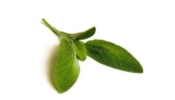 ziola-do-waporyzacji-5szt-producent-inny