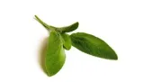 ziola-do-waporyzacji-5szt-producent-inny