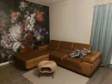 naroznik-rafi-styl-rogowka-kanapa-sofa-waga-z-opakowaniem-150-kg
