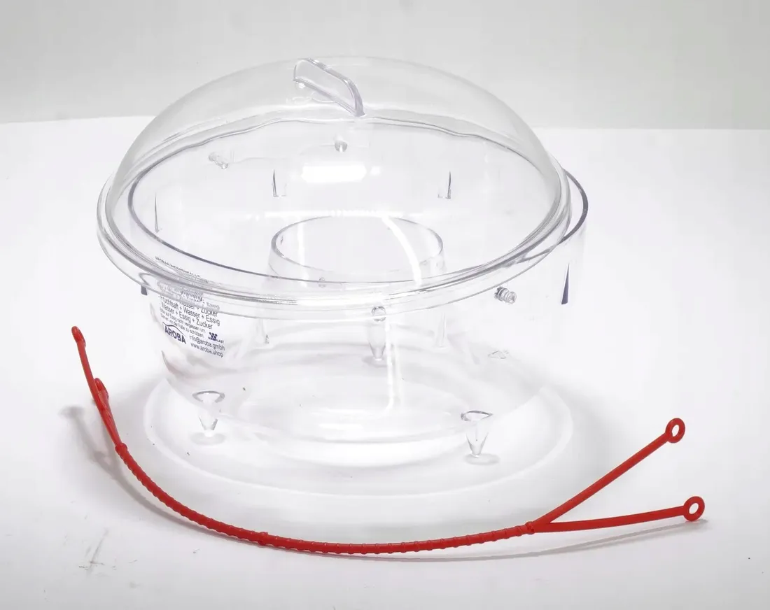 pulapka-przeciwko-osom-stan-powystawowy