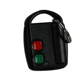pilot-dwukanalowy-dwb100ht-100m-elmes