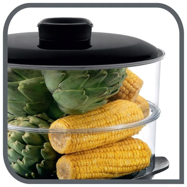 parowar-tefal-vc1401