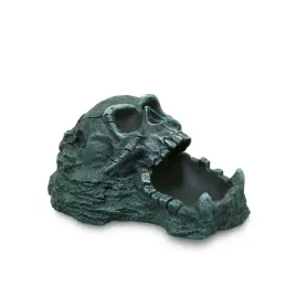 miska-skala-z-czaszka-20cm-terra-natura