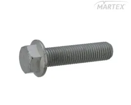 sruba-podstawy-poduszki-bpw-m16x65-0250709500