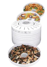 suszarka-do-grzybow-spozywcza-mpm-msg-01