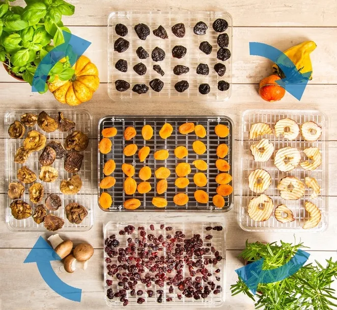 suszarka-do-grzybow-owocow-dehydrator-first-240w-first-austria-liczba-sit-5