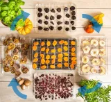suszarka-do-grzybow-owocow-dehydrator-first-240w-first-austria-liczba-sit-5
