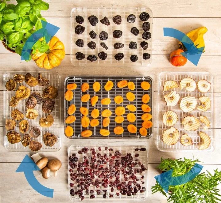 suszarka-do-grzybow-owocow-dehydrator-first-240w-first-austria