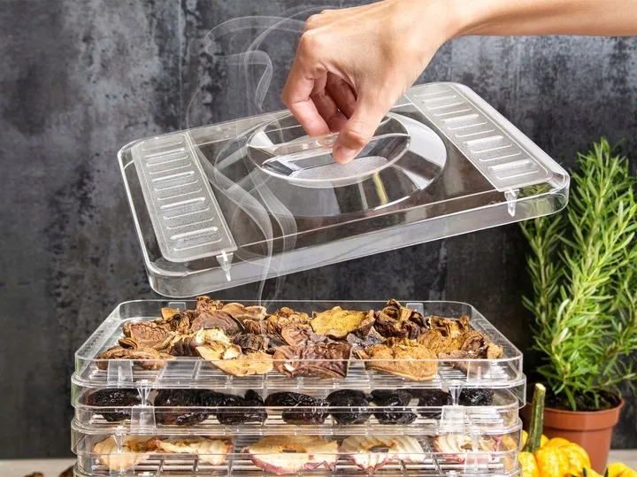 suszarka-do-grzybow-owocow-dehydrator-first-240w-first-austria-funkcje-regulacja-temperatury-regulacja-wysokosci-sit-pakietowanie-sit-zabezpieczenie-przed-przegrzaniem