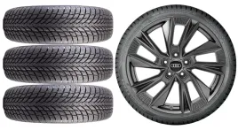 nowe-kola-zima-audi-a6-c8-f2-nokian-245-45r19