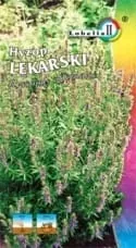 hyzop-lekarski-05g-l