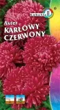 aster-karlowy-czerwony-1g-l
