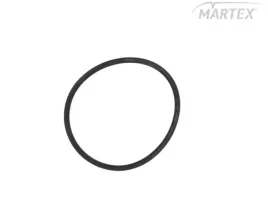 oring-wtryskiwacza-daf-xf95105mb-actro-le122902