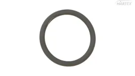 oring-wtryskiwacza-iveco-le124220