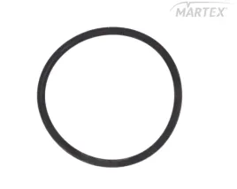 oring-pompy-wspomag-fiat-ducato-le124415