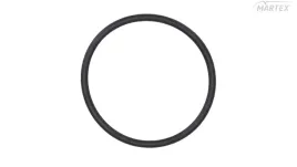 oring-wtryskiwacza-daf-xf106-48x43x25-le129008