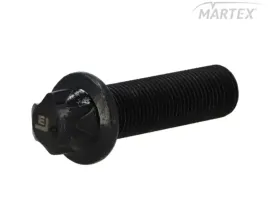 sruba-torx-man-m16x15x55-le9016039-0