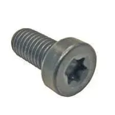 sruba-torx-do-pokrywek-pompy-cr-bosch-f01m100684