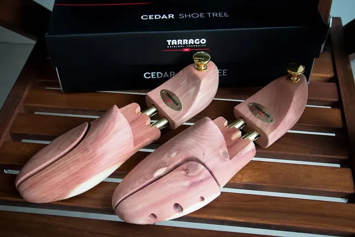 prawidla-cedrowe-tarrago-cedar-trees-stan-nowy