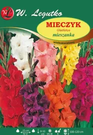 mieczyk-wielkokwiatowy-mieszanka-w-legutko