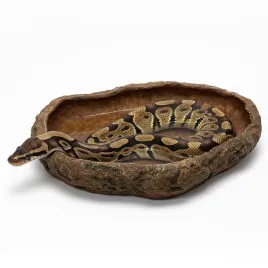 najwiekszy-basen-miska-do-terrarium-xxl-piaskowiec-40-cm