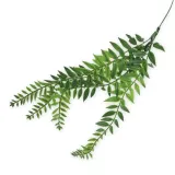 paproc-zwisajaca-40-50cm-stan-nowy
