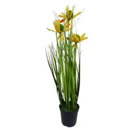 kwiaty-dekoracyjne-trawa-w-doniczce-50cm