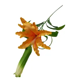 kwiaty-dekoracyjne-galazka-lilii-pomarancz