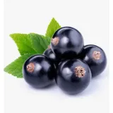 yodeyma-perfuma-adriana-100-ml-grupa-zapachowa-szyprowa
