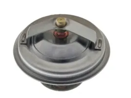 termostat-bmw-5-e39-e34-3-e36-7-e38