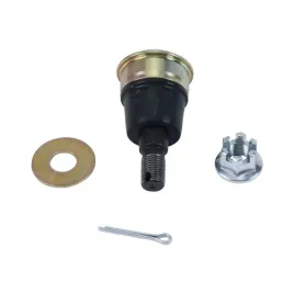 all-balls-2024-09-sworzen-wahacza-dolny-honda-talon-1000-r-19-24