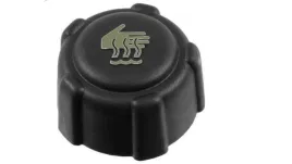 korek-wlewu-wody-do-renault-laguna-iii