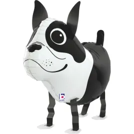 balon-foliowy-chodzacy-boston-terrier-19-48-cm-grabo-pack