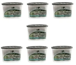 pochlaniacz-wilgoci-osuszacz-stojacy-zestaw-7-sztuk