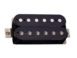 tonerider-alnico-2-classics-f-spaced-bk-bridge