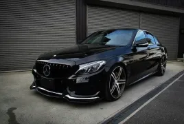 grill-mercedes-w205-c205-14-amg-gt-r-panamericana