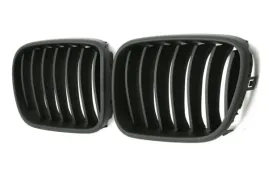 grill-bmw-f25-10-14-gloss-black-polysk