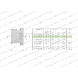 korek-hydrauliczny-calowy-na-imbus-14-bsp-ed-warynski-sprzedawane-po-1