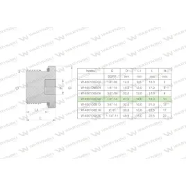 korek-hydrauliczny-calowy-na-imbus-12-bsp-ed-warynski-sprzedawane-po-1