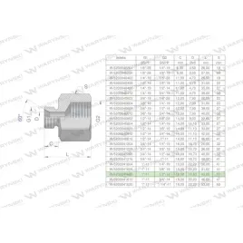 tulejka-roznicowa-hydrauliczna-calowa-ab-1-gz-x-12-gw-bsp-warynski