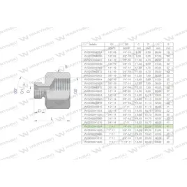 tulejka-roznicowa-hydrauliczna-calowa-ab-1-gz-x-14-gw-bsp-warynski