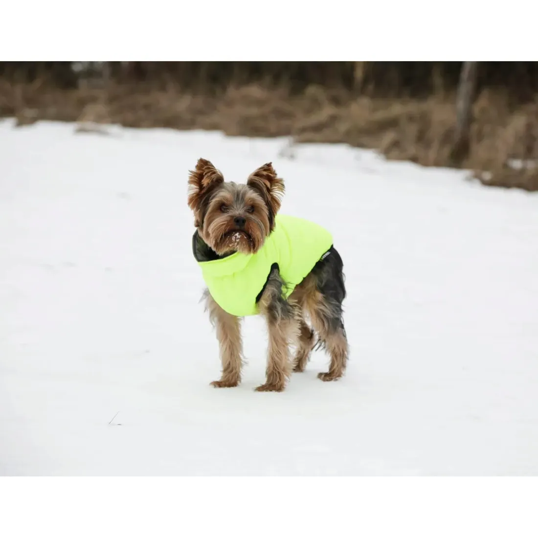 plaszczyk-dla-psa-charmonix-45-cm-l-kerbl