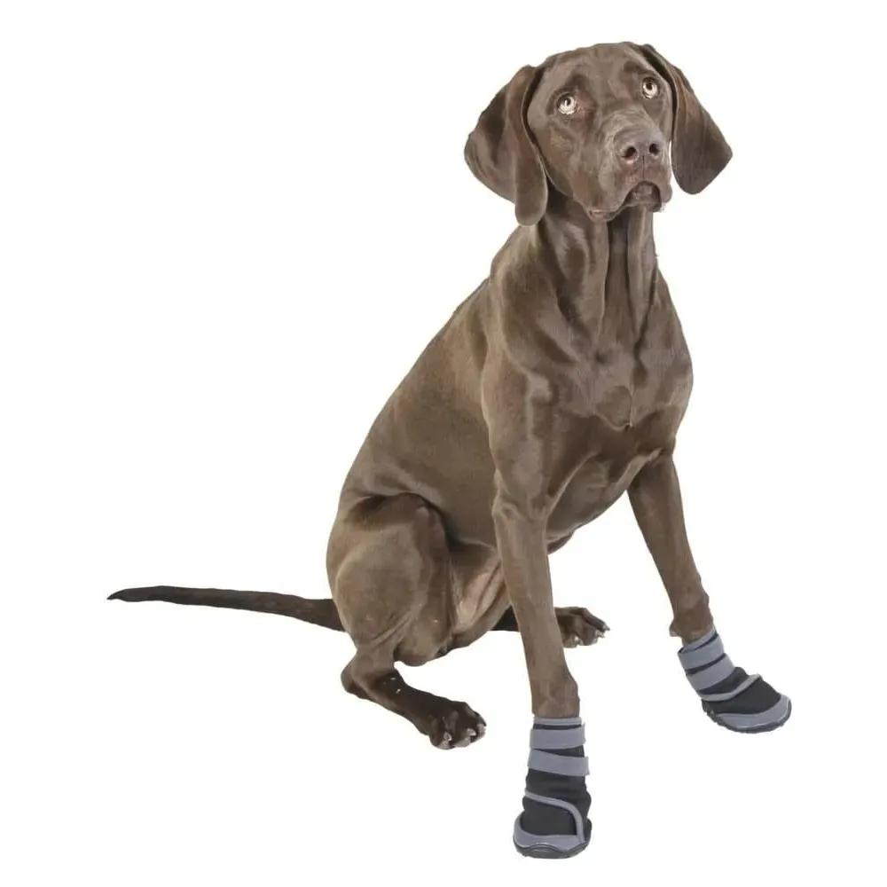 buty-dla-psa-active-s-kerbl