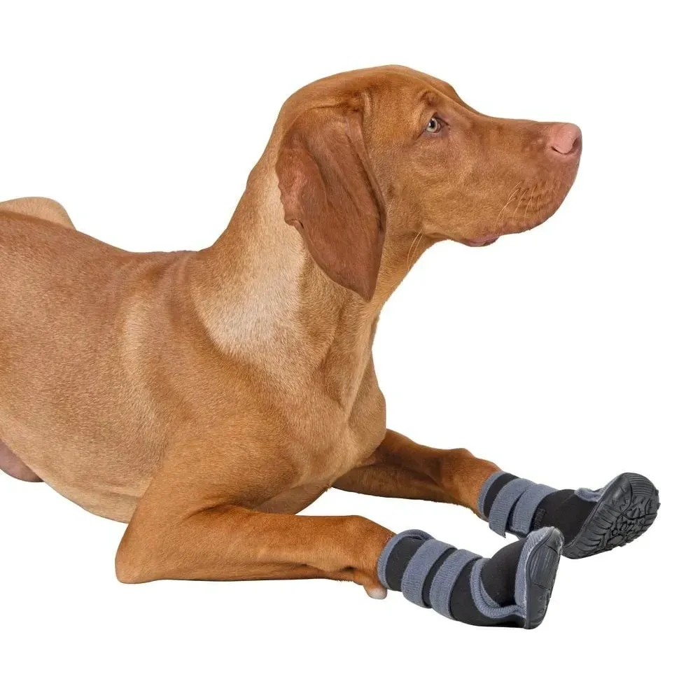 buty-dla-psa-active-s-kerbl