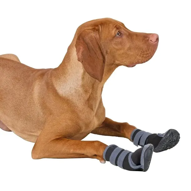 buty-dla-psa-active-l-kerbl-marka-kerbl