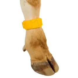 opaska-identyfikacyjna-z-tworzywa-37-cm-zolta-kerbl