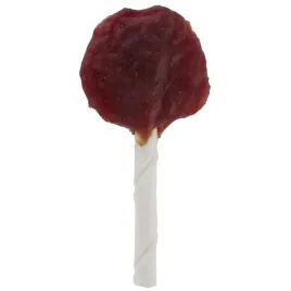 lizak-ze-surowej-skory-z-kaczka-i-serem-10-cm-20-g-kerbl